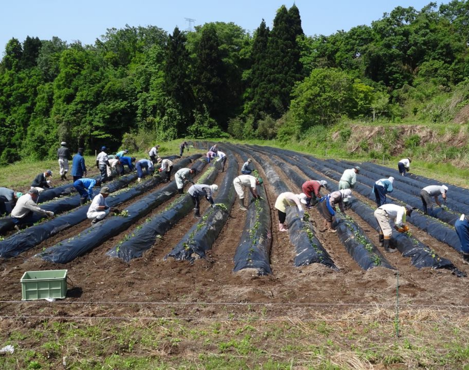 速川地区まちづくり協議会